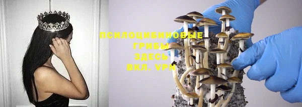 мдпв Бронницы