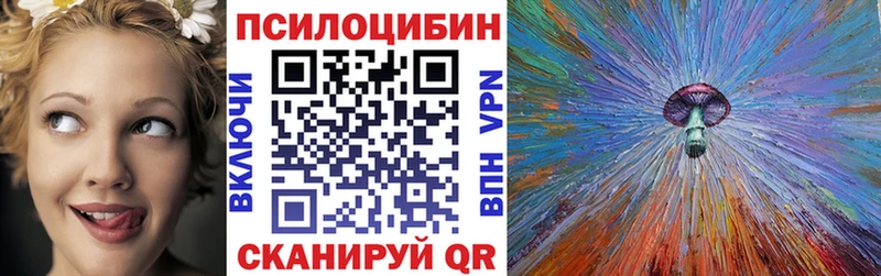 как найти наркотики Пятигорск Псилоцибиновые грибы Magic Shrooms